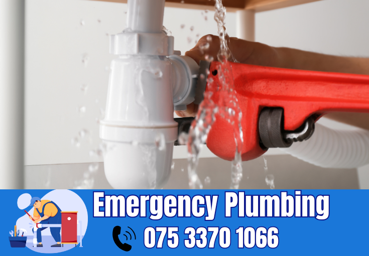  plumber Blue Town